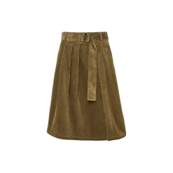 3608 Merian, light camel