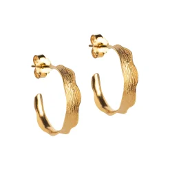 Ane Small hoops