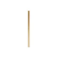 Angel 1000 Wall Lamp Hardwired with Dimmer, brass