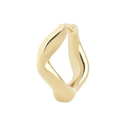 Anil Huggie, gold