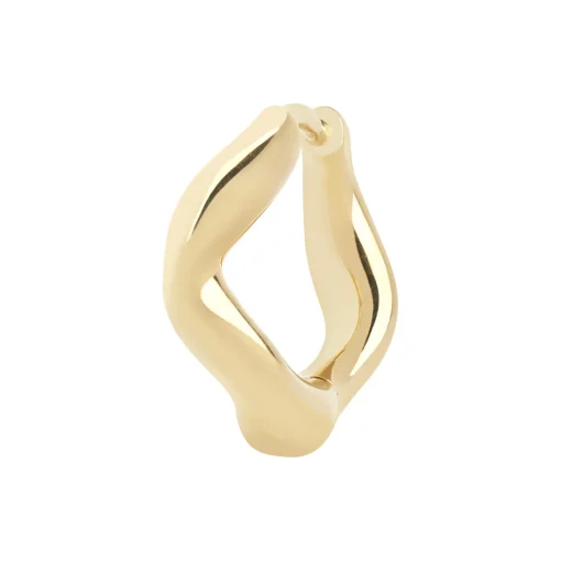 Anil Huggie, gold