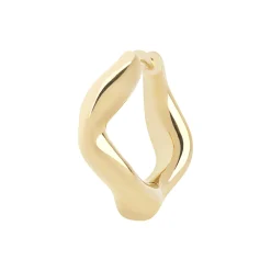 Anil Huggie, gold