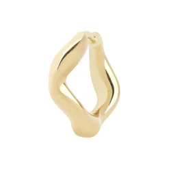 Anil Huggie, gold