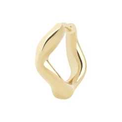 Anil Huggie, gold