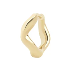 Anil Huggie, gold