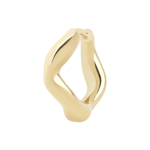 Anil Huggie, gold