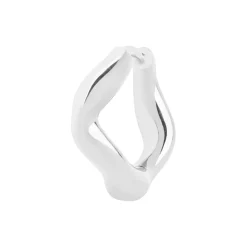 Anil Huggie, silver