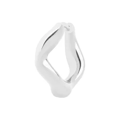 Anil Huggie, silver