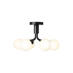 Apiales 6 Ceiling Lamp, satin black/opal