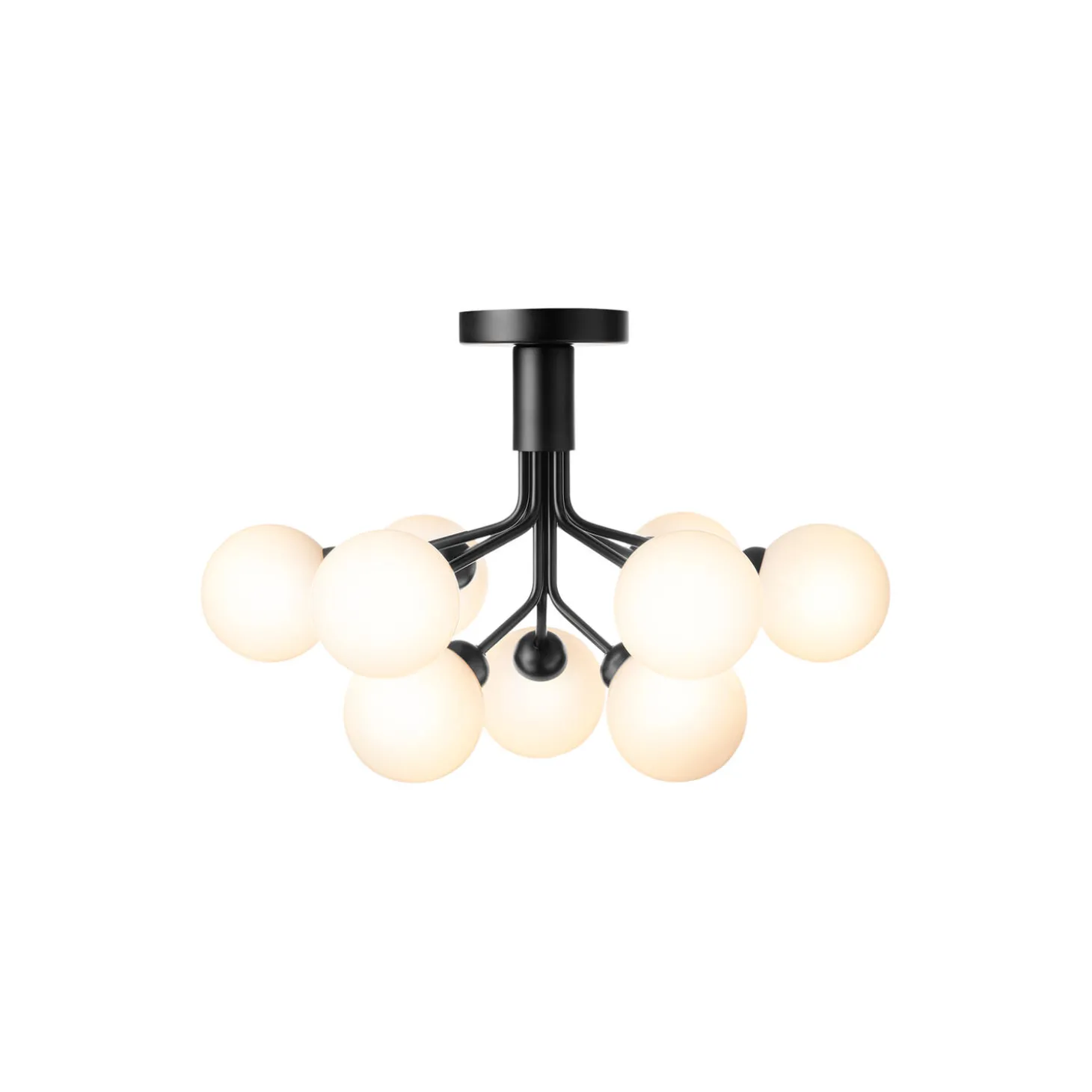 Apiales 9 Ceiling Lamp, satin black/opal