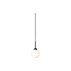 Apiales 1 Small Pendant, satin black/opal