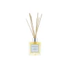 Aroma Therapy Room Diffuser Menthe