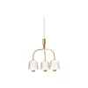 Asteea 3 Chandelier