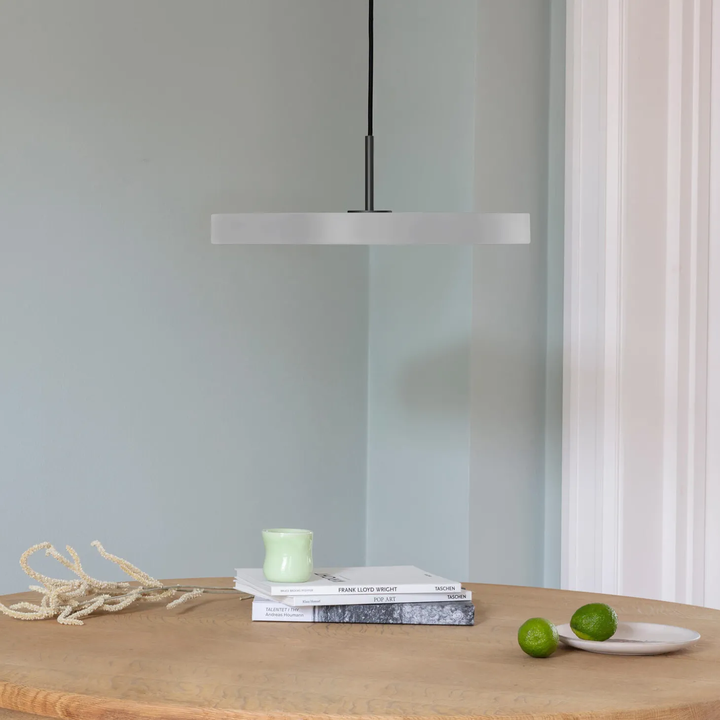 Asteria Plus Pendant, nuance mist/black