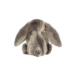 Bashful kanin, cottentail