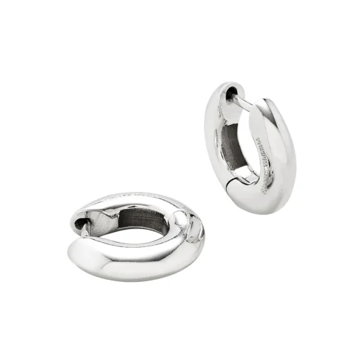 Bold Hoops