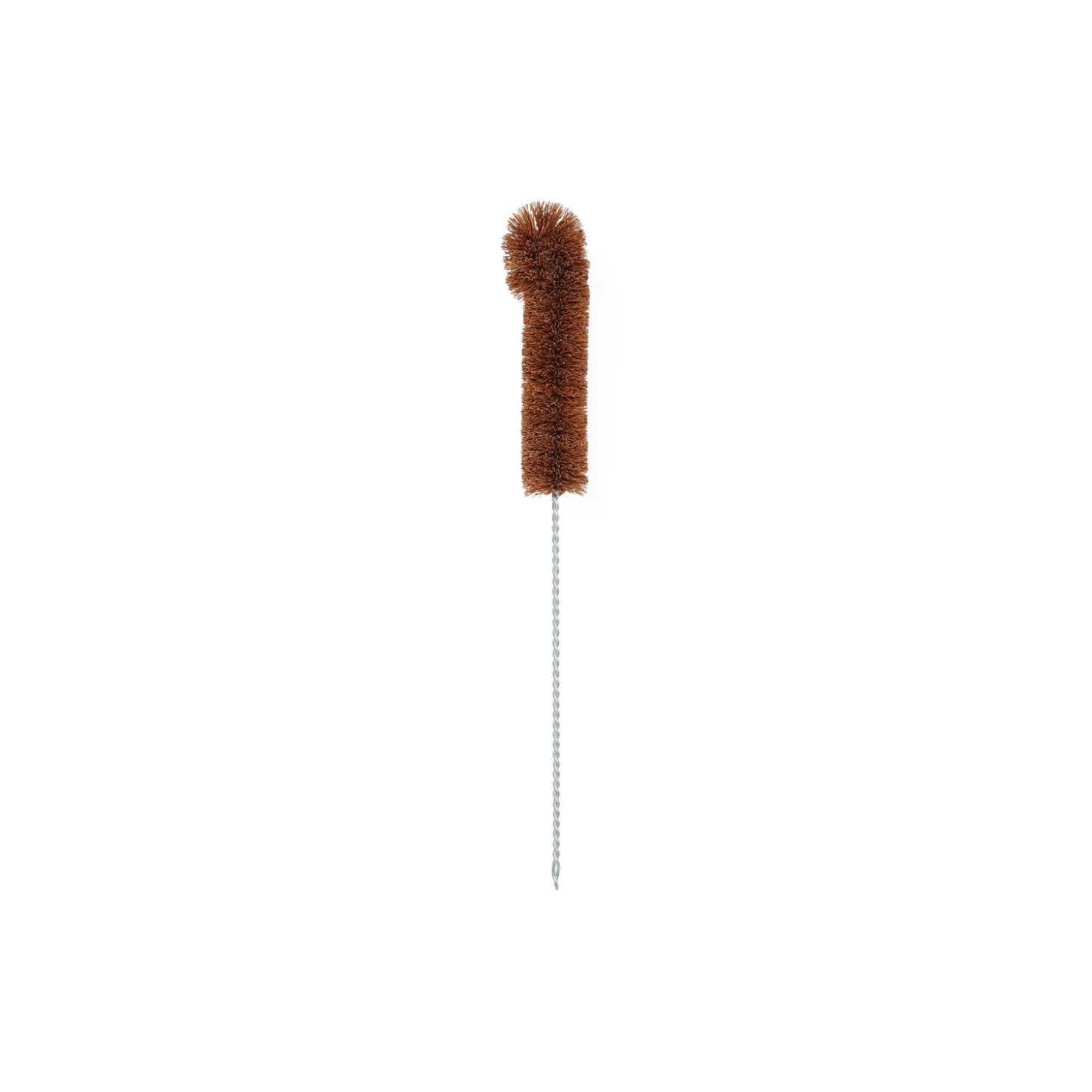 Bottlebrush, large