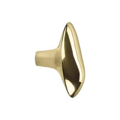 Chanterelle Hook, brass