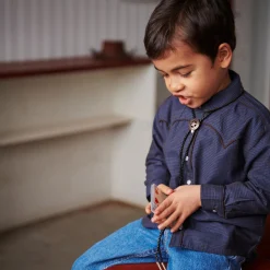 Checkered Cowboy Shirt, brown/blue check comb.