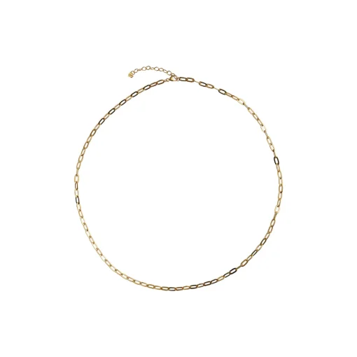 Chunky Pendant Chain, gold