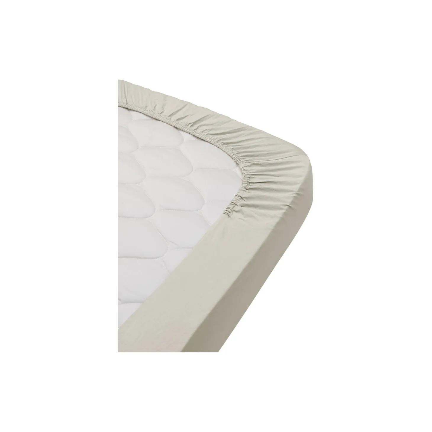 Dale faconsyet lagen, little mouse