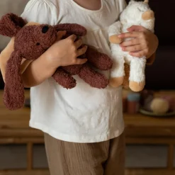 Den trofaste hund med kappe