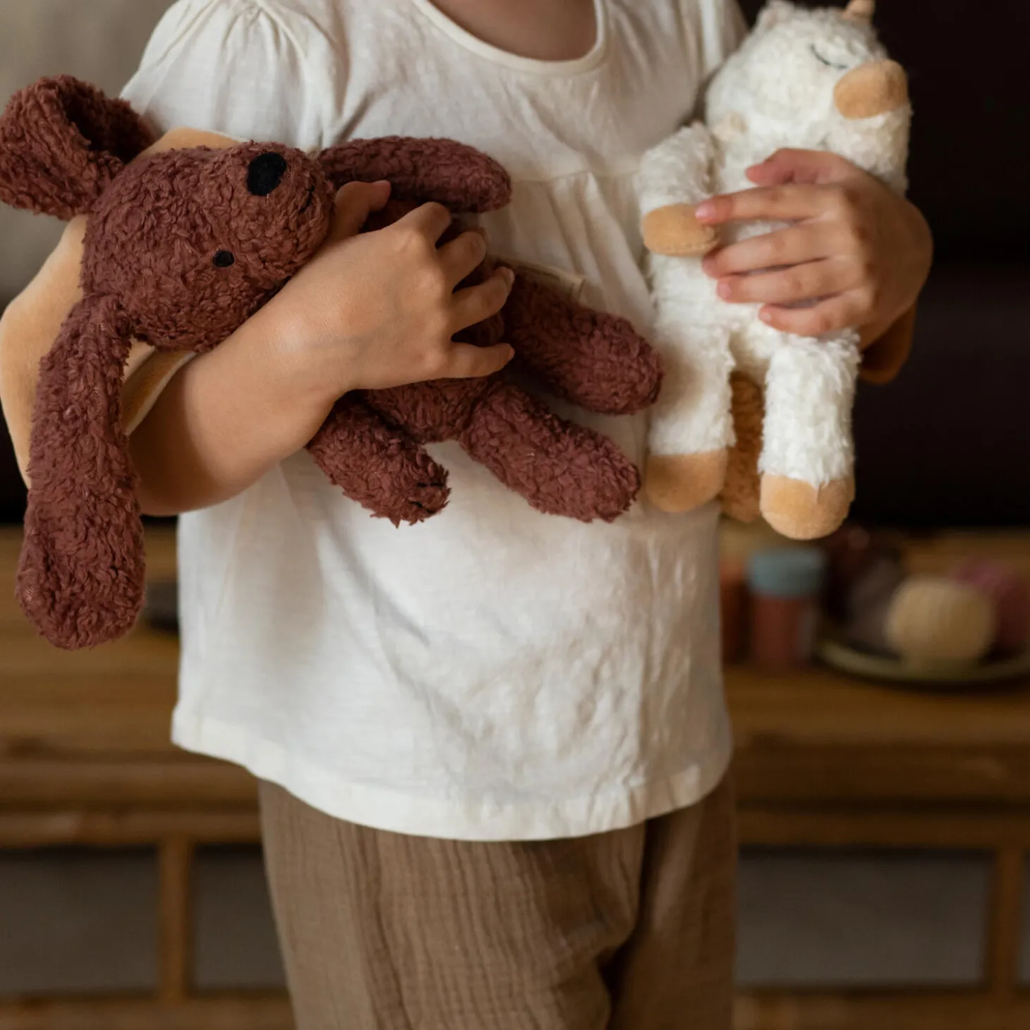 Den trofaste hund med kappe