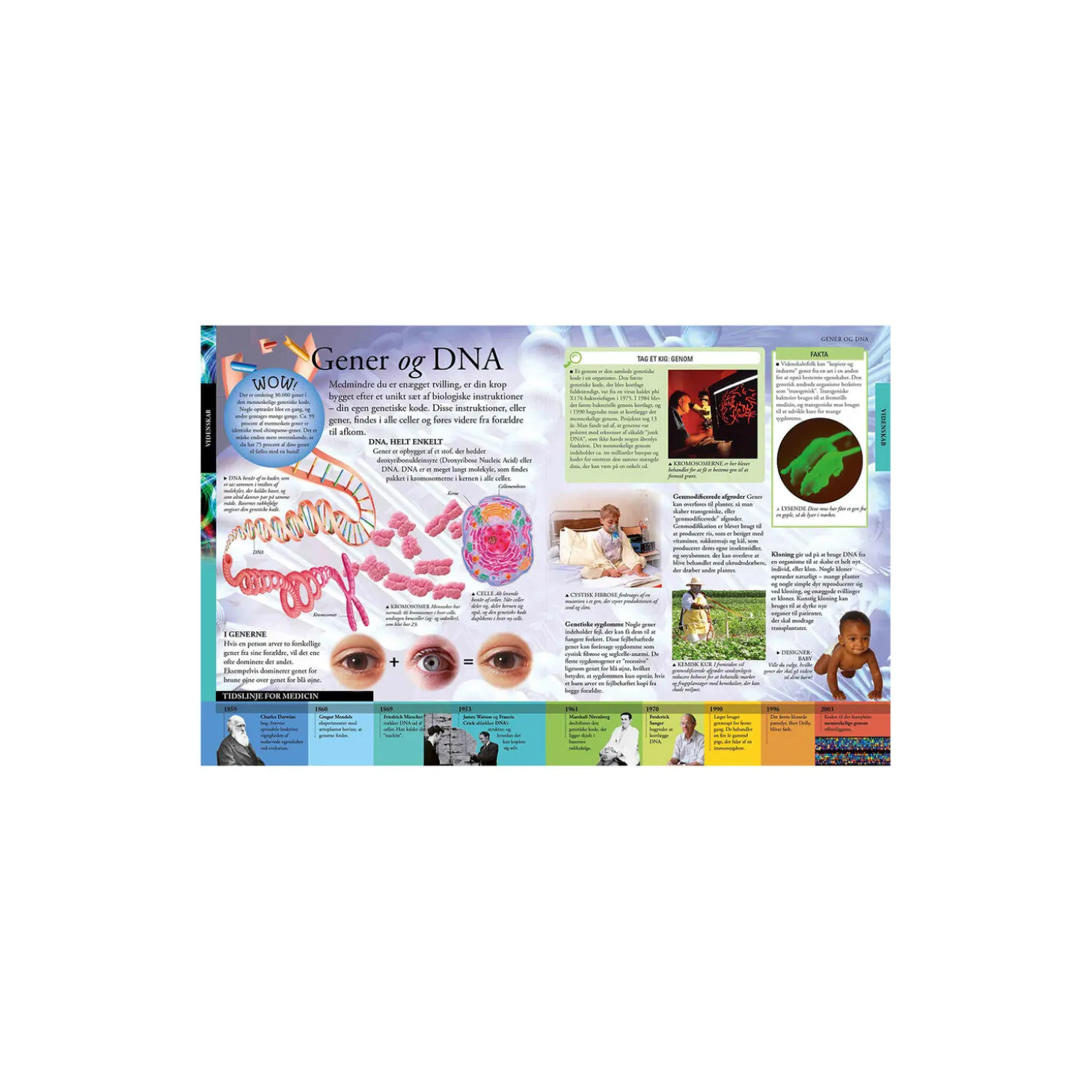 Det store børneleksikon