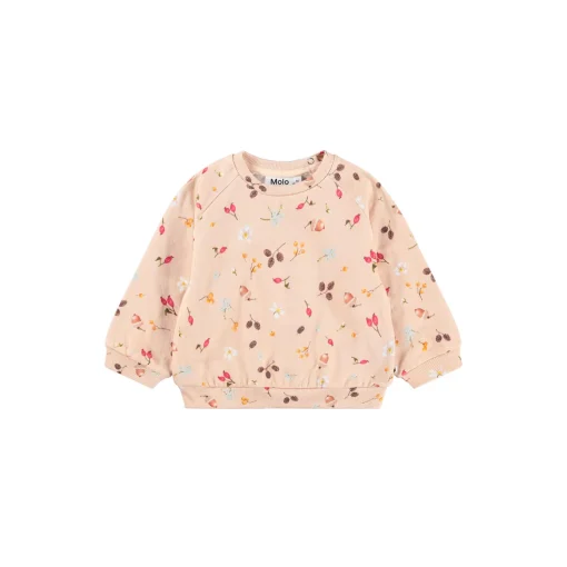Disc sweater, foraging rose