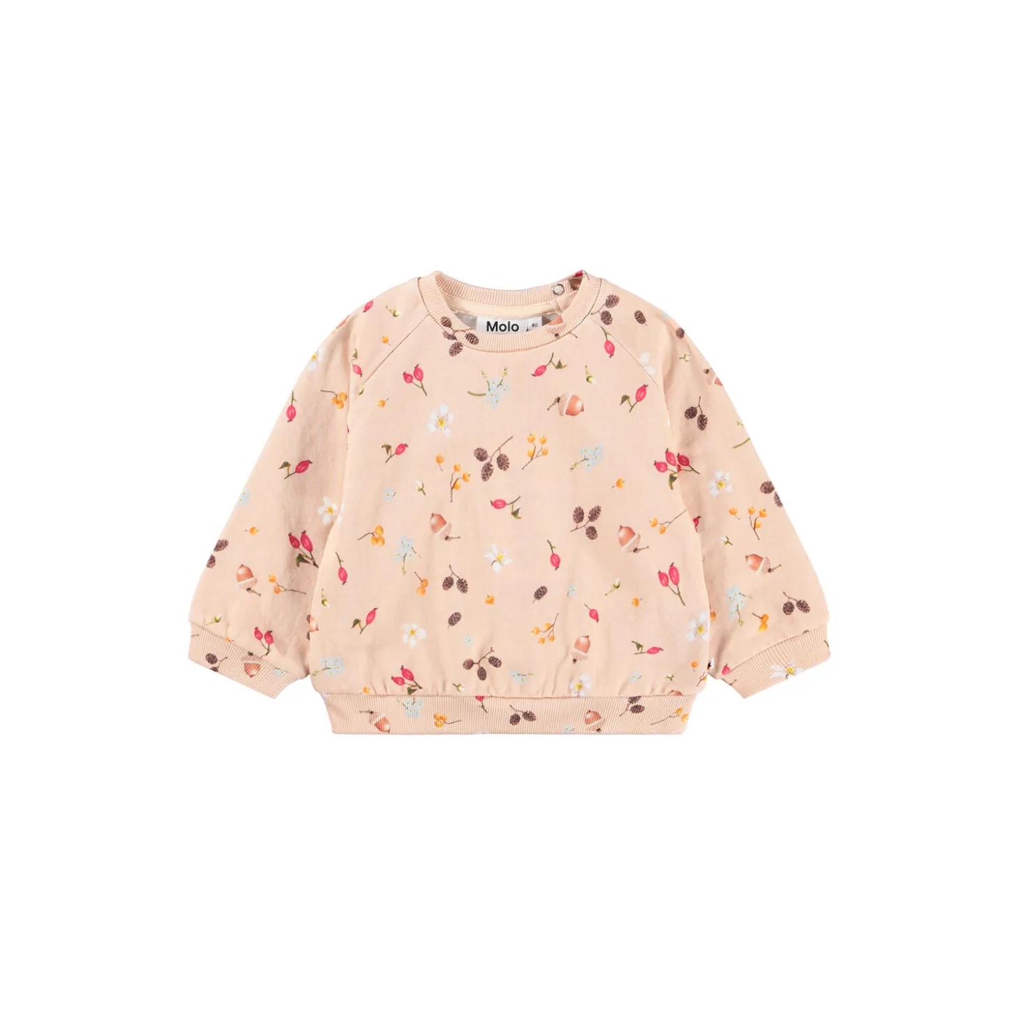 Disc sweater, foraging rose