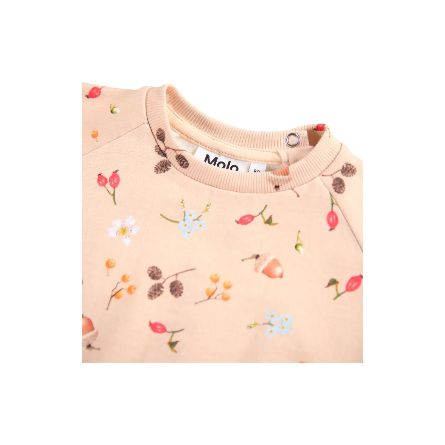 Disc sweater, foraging rose