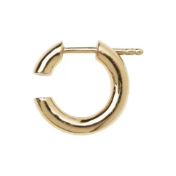 Disrupted Hoop, gold