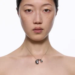 Dolphin Necklace, silver