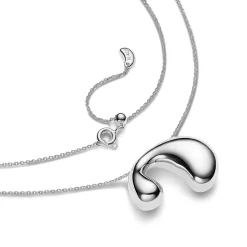 Dolphin Necklace, silver