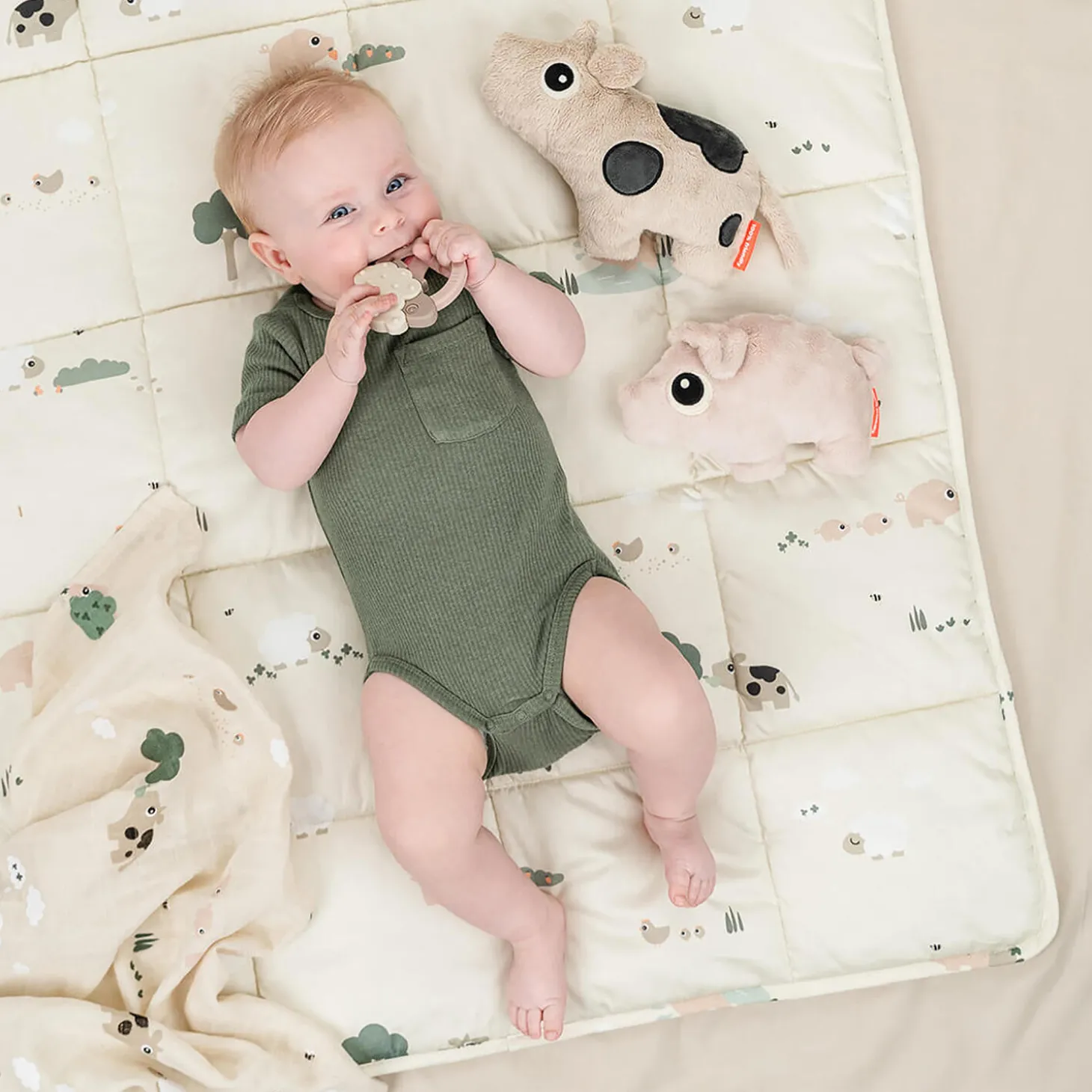 Dotti krammedyr, sand