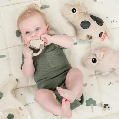 Dotti krammedyr, sand