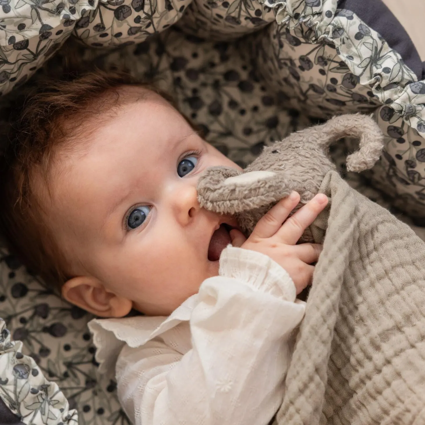 Elefanten Finley nusseklud, grey