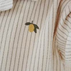 Elliot SS Shirt, tea stripe