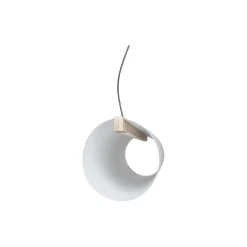ENSO pendel