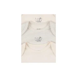 Fio Stripe 3-pack LS Body, blue mix