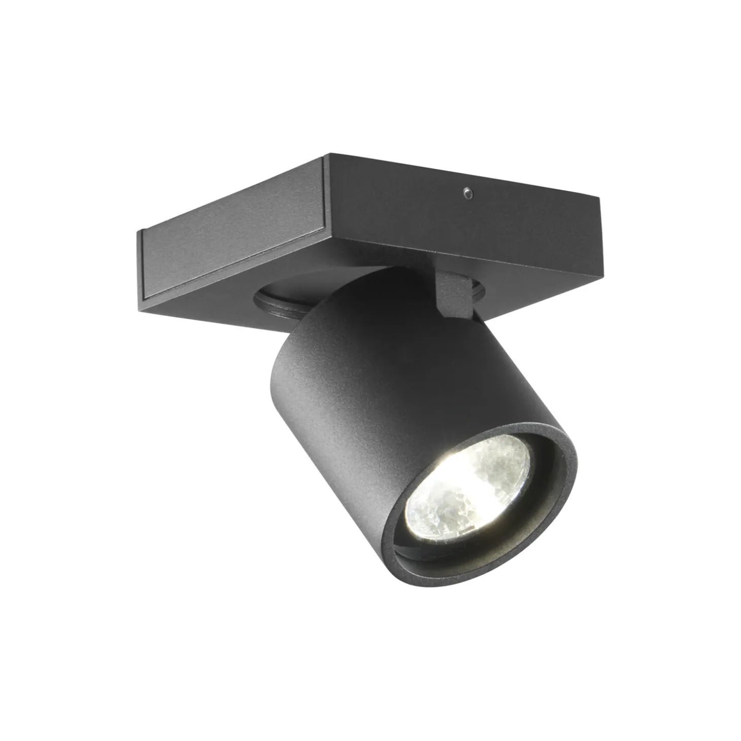 FOCUS+ 1 loftspot, sort