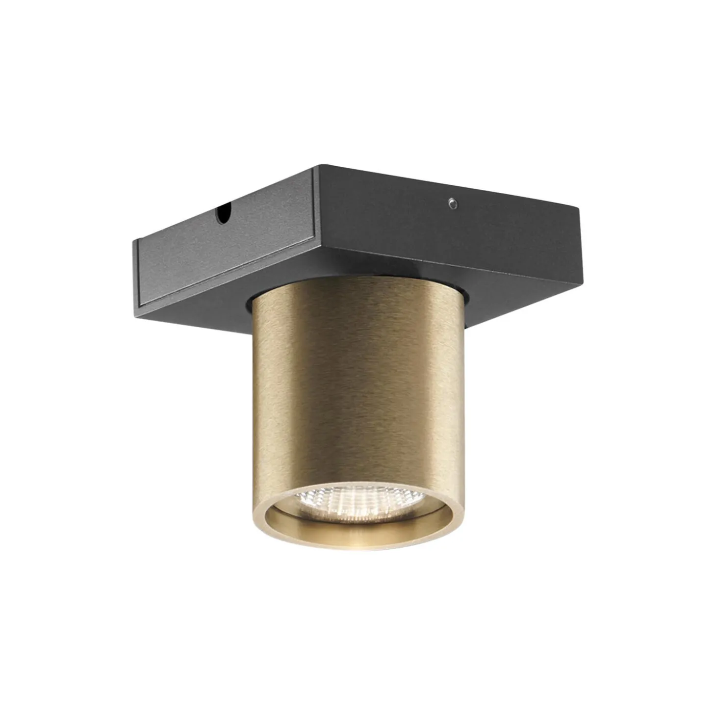 FOCUS MINI 1 loftspot, brass