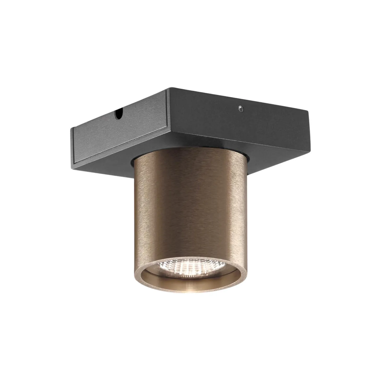 FOCUS MINI 1 loftspot, rose gold