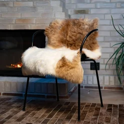 Himalaya lammeskind, light spotted