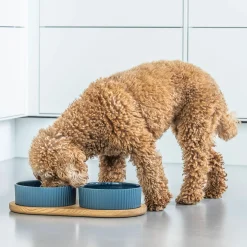 Kronborg Food Bar, petrol blue