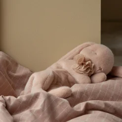 Lille sovende plyskanin, powder