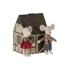 Lillebror og lillesøster vintermus tvillinger