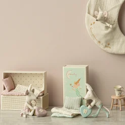 Lillesøster tandfemus i tændstikæske