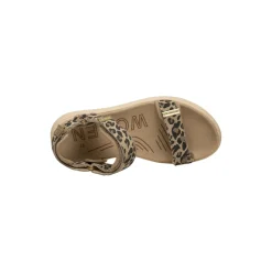 Line Suede, leopard