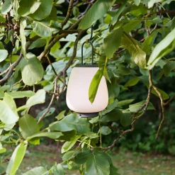 Lucca SC51 transportabel bordlampe, moss